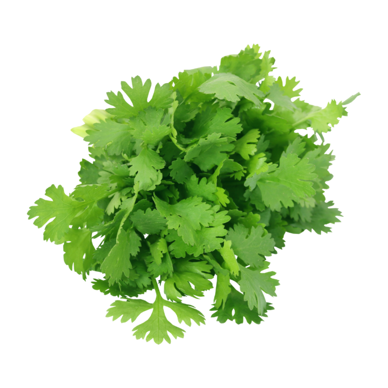 Coriander - (Per 100g)