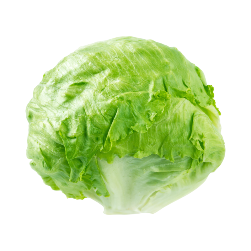 Iceberg Lettuce (One Unit)