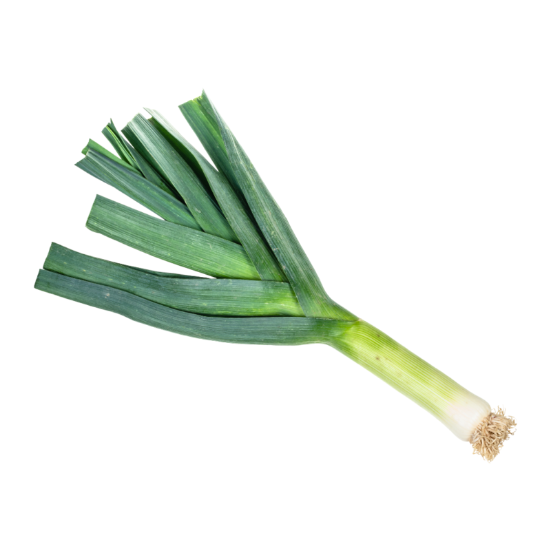 Leek (One Head)