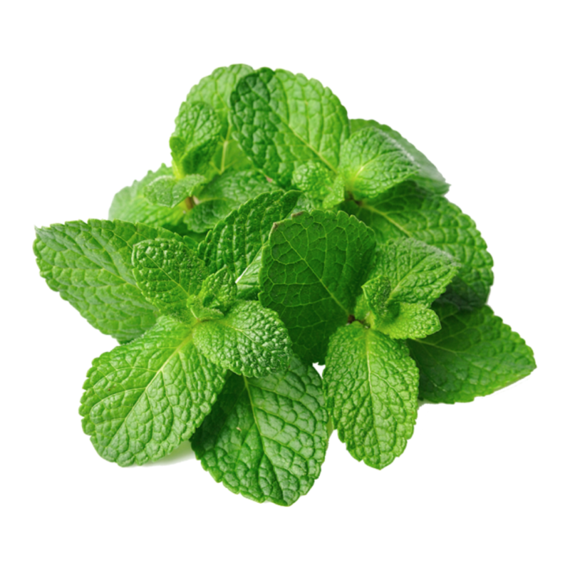 Mint (Hydroponics) -Per 50g