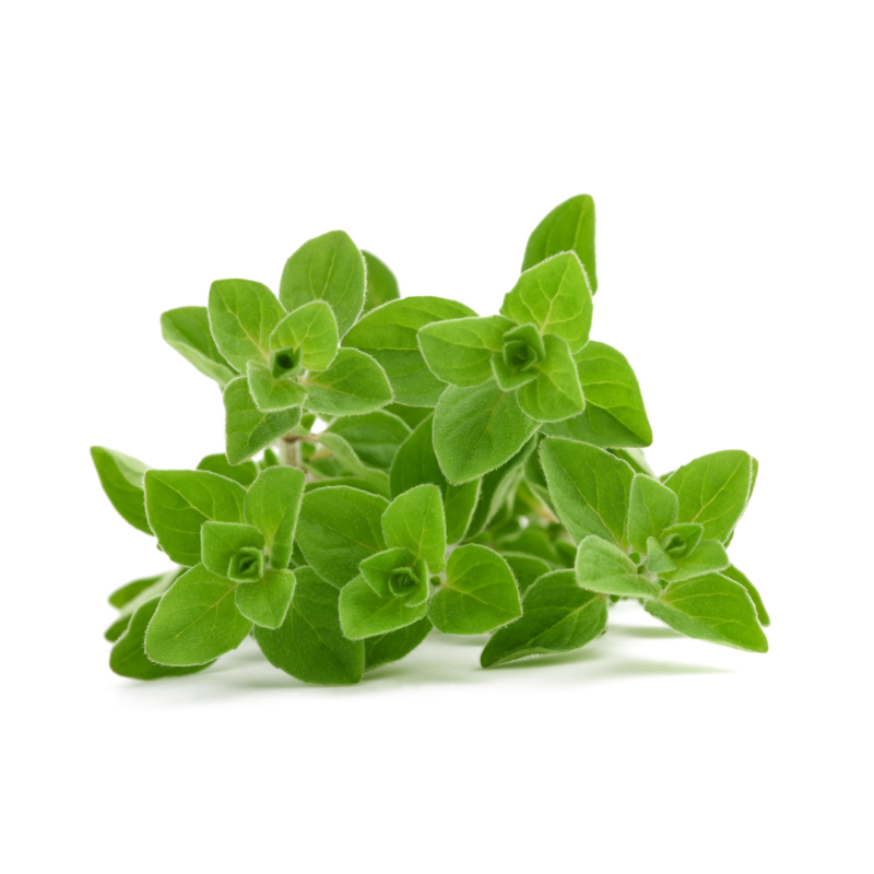 Oregano - (Per 25g)