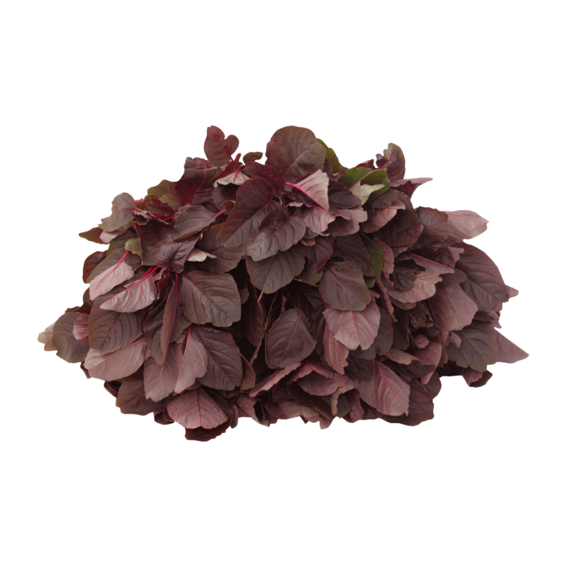 Red Amaranth (Hydroponics) - Per 200g