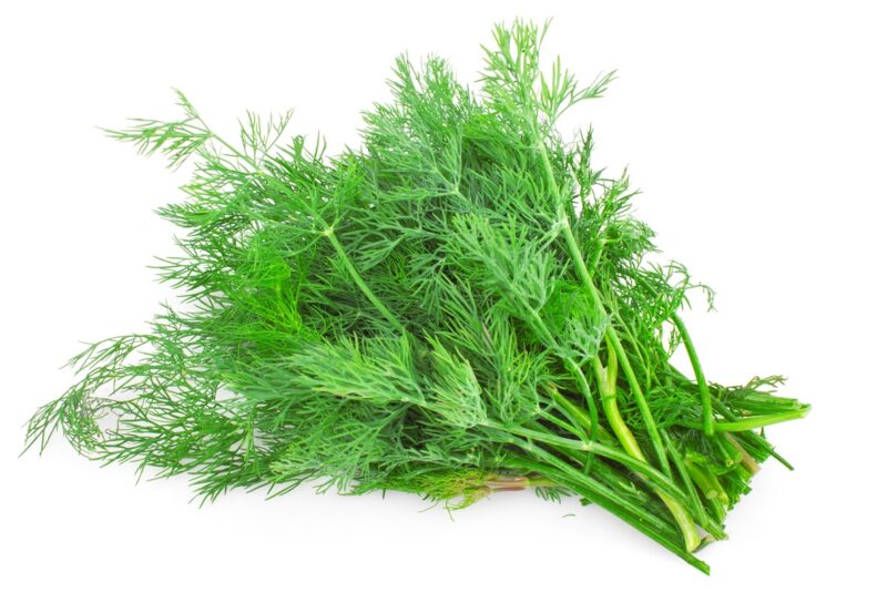 Dill Leaves - (Per 100g)