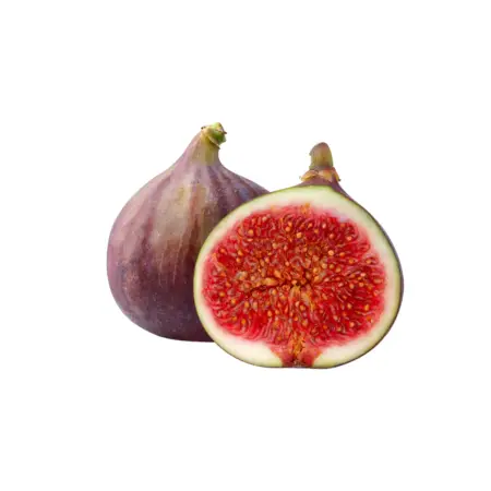 Fig