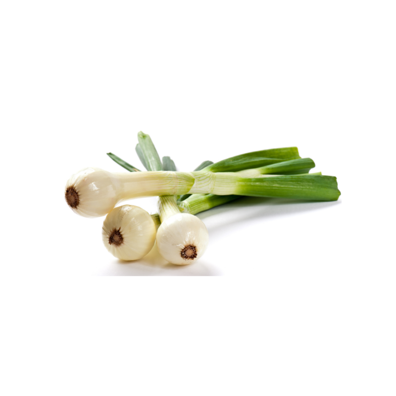 Spring Onion (One Bunch)